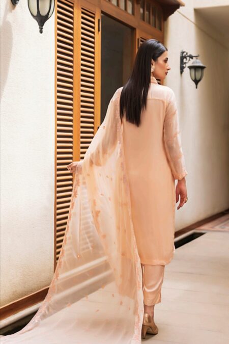 Peach color stitched chiffon Pakistani dresses