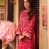 pakistani attire