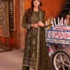 Green Color Embroidered Chiffon Pakistani Party Suits